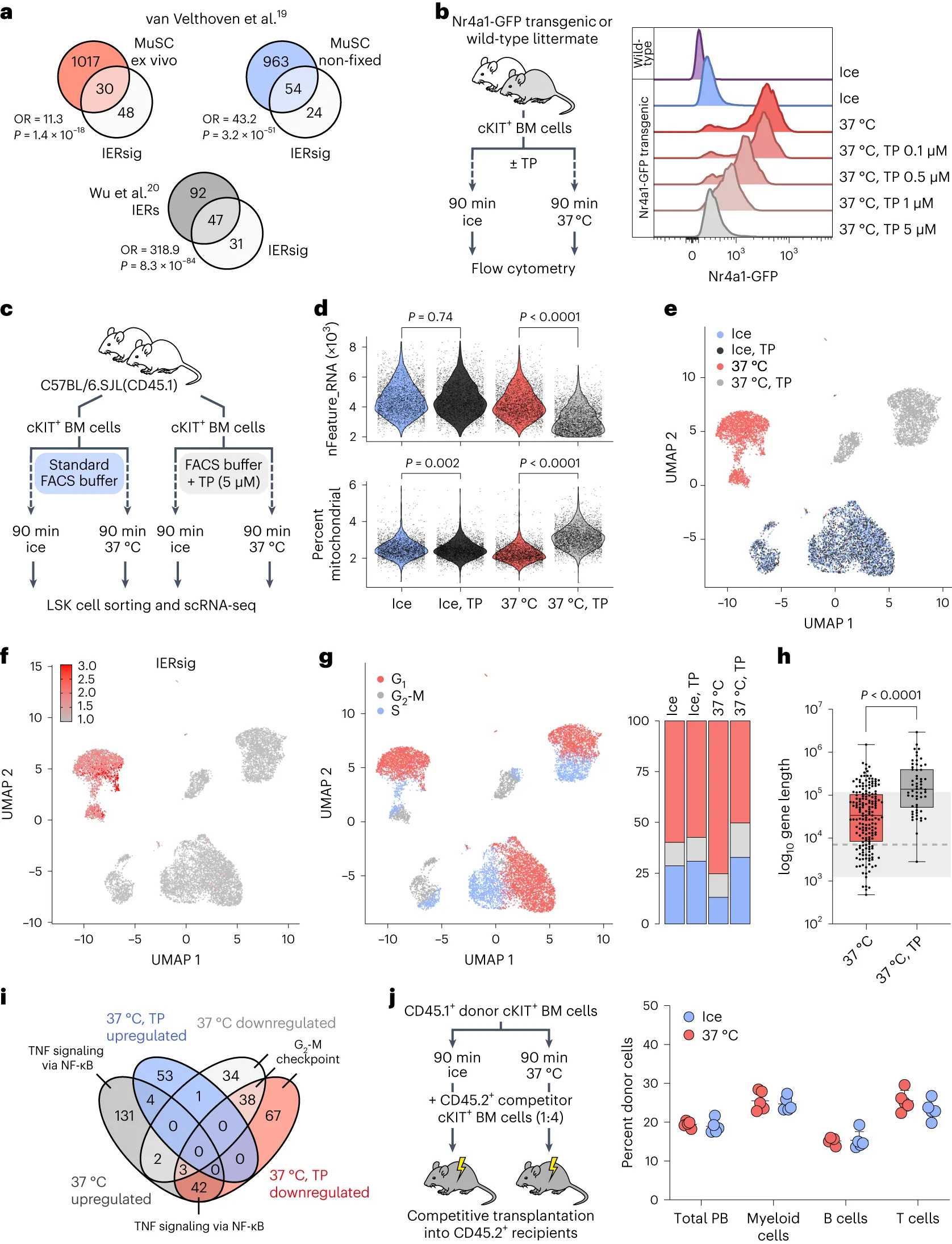 Figure from the paper