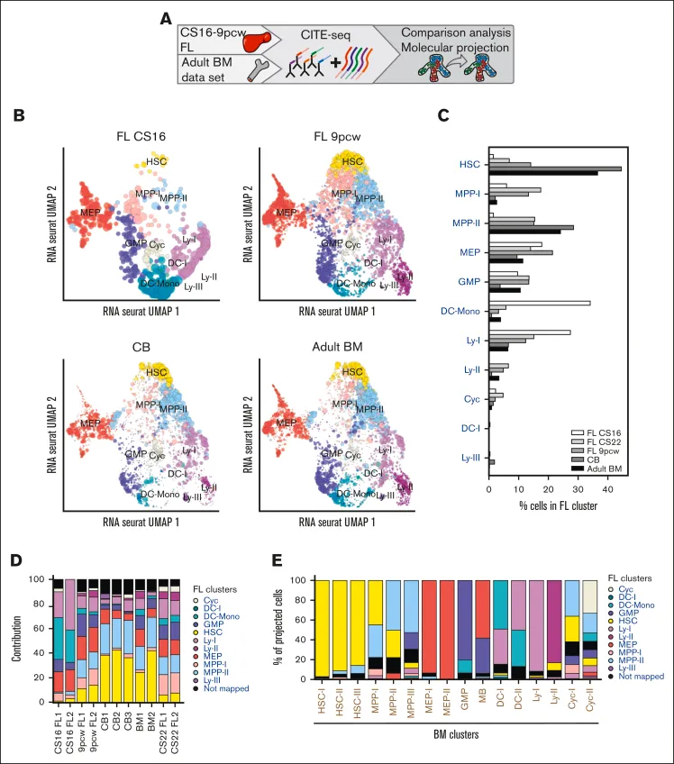 A figure from the paper